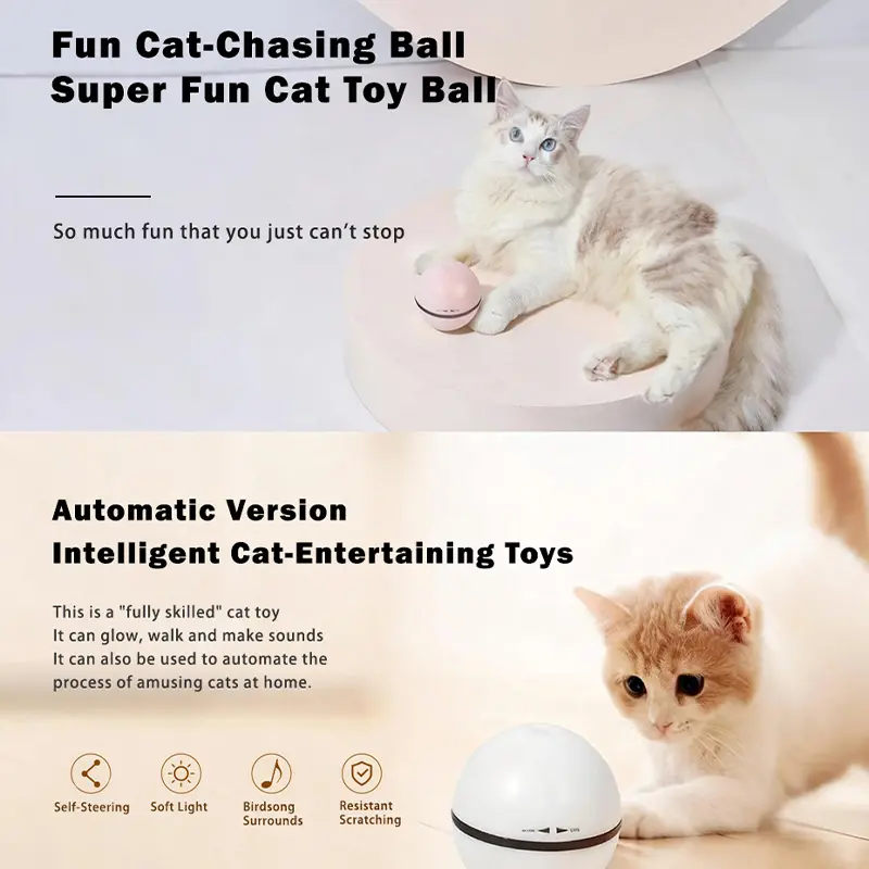 Fun Cat-Chasing Ball ,Super Fun Cat Toy Ball