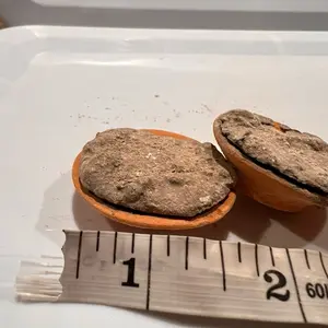 D- CRUJIDOS Set of two 1 inch Clay cazuelita rellenita. Made in Mexico