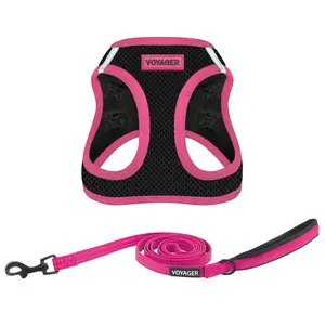 Voyager Step-In Air Harness & Leash Set for Dogs - Premium All-Purpose Leash with Comfortable Neoprene Handle