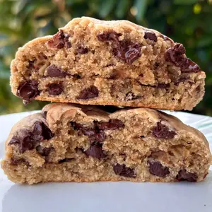 Chocolate Chip