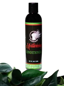 Loclicious Moisturizing Conditioner for Locs and Natural Hair Haircare Moisture