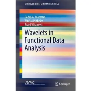 USED-Wavelets in Functional Data Analysis by Morettin, Pedro A. (Paperback)