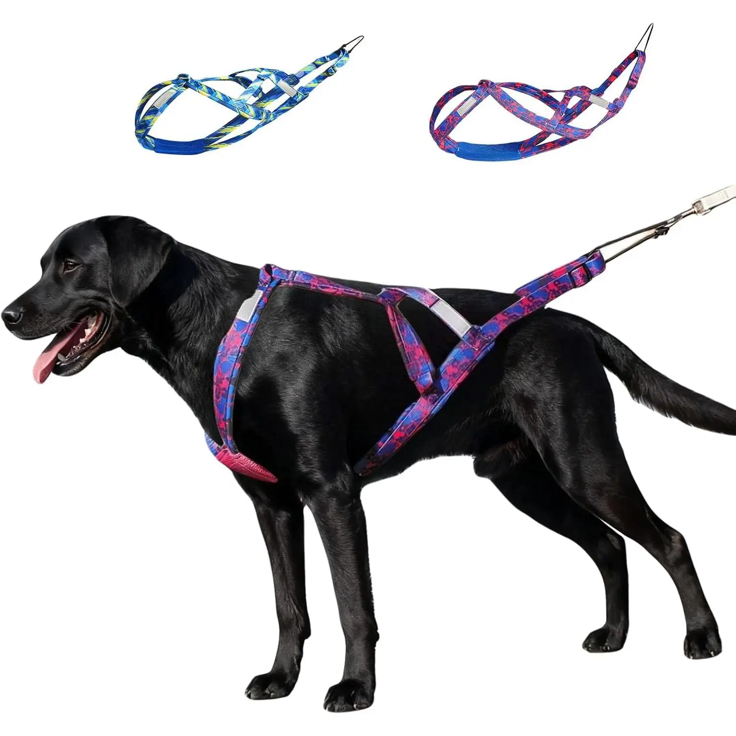 Dog Harness - Canicross Husky Harness for Running, Pulling & Dog Sled (Blue,L)