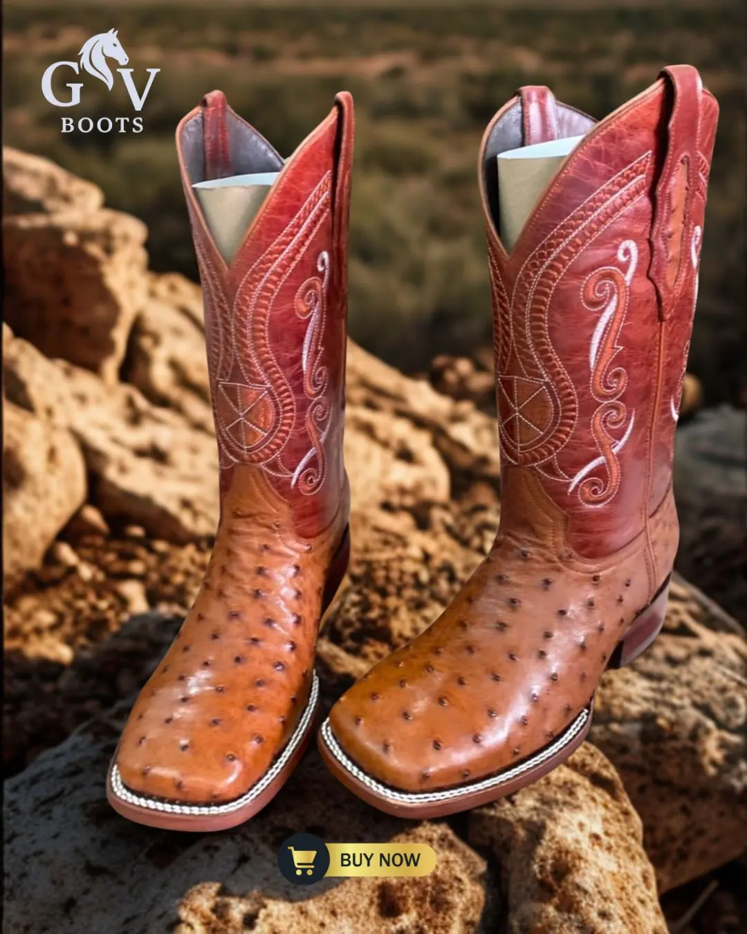 Botas Avestruz conag
