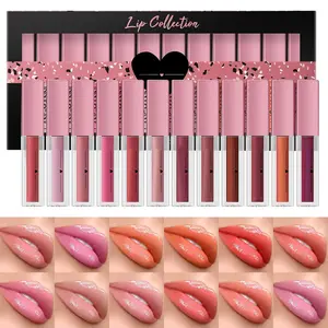 12Pcs Lip gloss Collection Makeup Set, Shiny Smooth Soft Liquid Lip Glosses Lip Stain With Rich Varied Colors For Girls And Women Makeup