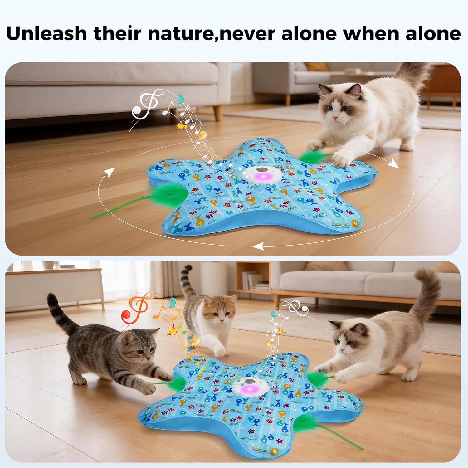 Rechargeable Hide & Seek Cat Toy – Interactive Kitten Toy with 2 Wands, 3 Modes, 10-Min Auto-Sleep & Realistic Mouse Sounds