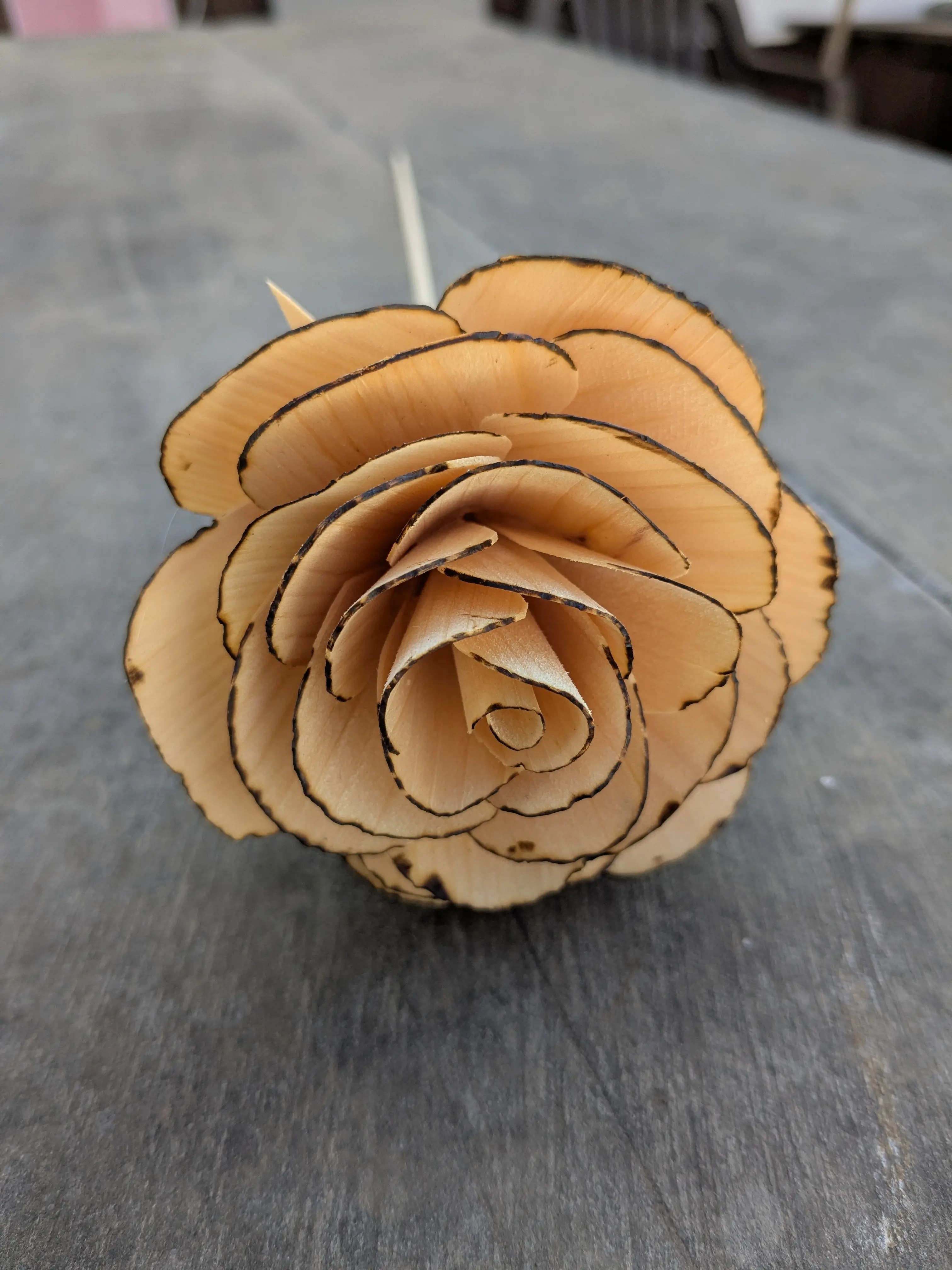 Pine Wood Roses