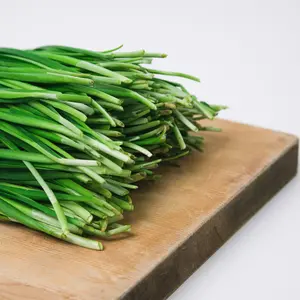 Thin Chicks Chives Seeds (Allium tuberosum) Narrow-leaved garlic chives with subtle flavor. Attractive white blooms. Perennial herb for kitchen gardens