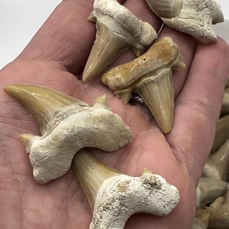 Small Gem Mining Bucket - Quart Bucket - 4-5 lbs Total - Over 18 Different Types of Natural Crystals