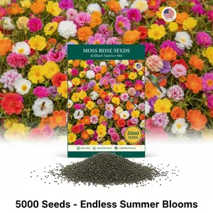 HOME GROWN 5000pcs  Moss Rose Seeds (Bulk Pack) Annual Flower for Ground Cover - Heirloom - Portulaca Seeds for Planting Outdoors - Great for Low-Maintenance Gardens (Portulaca grandiflora)