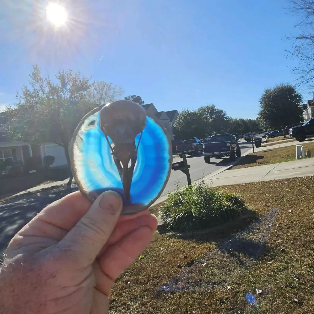 beautiful polished Brazilian agate slices with resin birld skulls