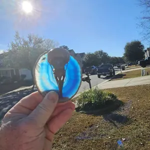 beautiful polished Brazilian agate slices with resin birld skulls