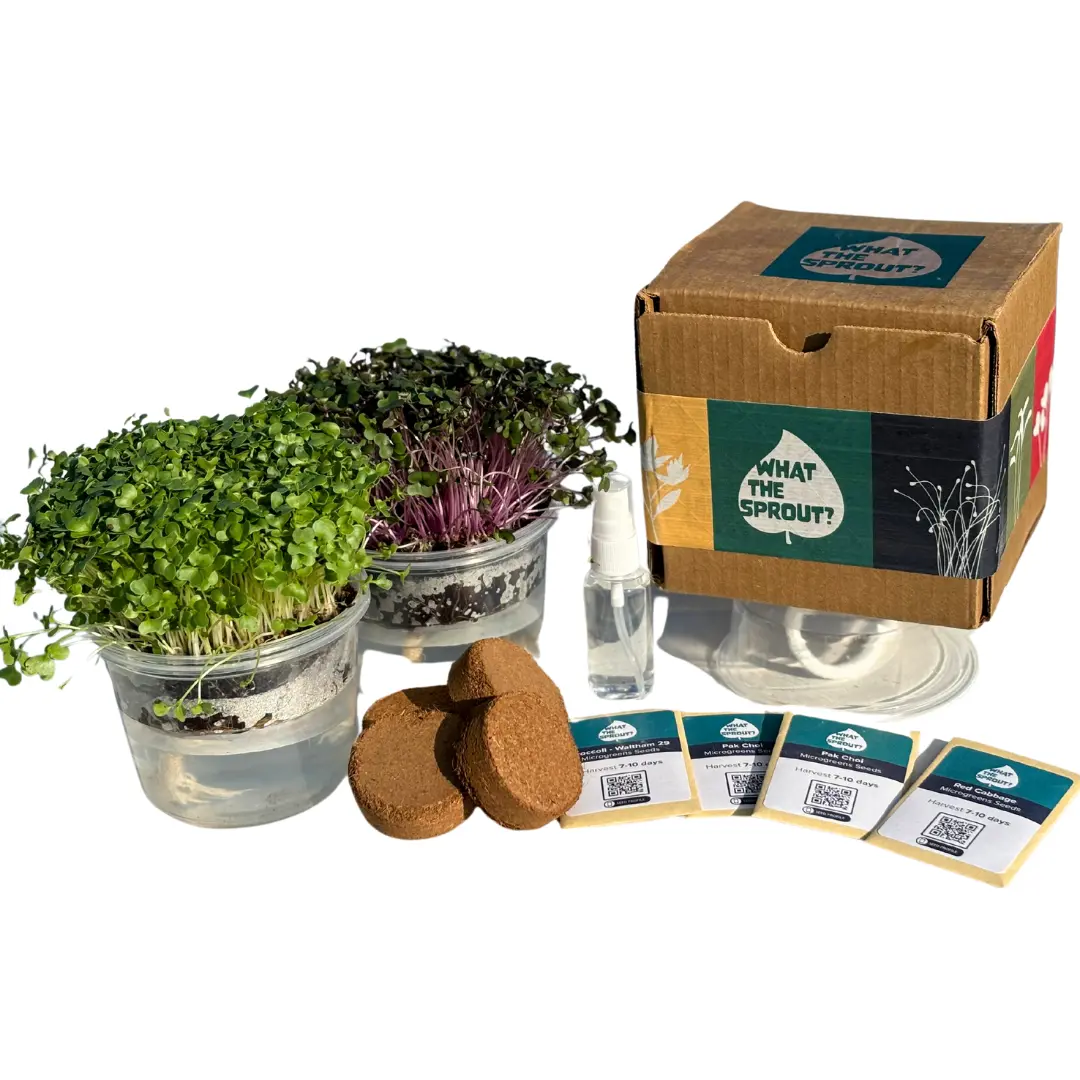 Microgreen Grow Kit – Self-Watering System Microgreen Grow Kit – Self-Watering System
