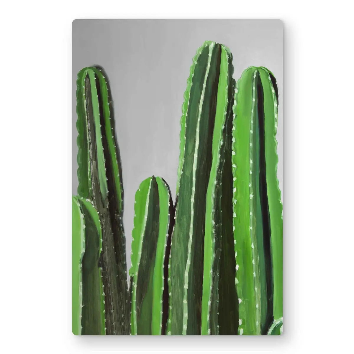 212 MAIN 12x18 in Lightweight Aluminium Metal Print Wall Art - Vibrant Cactus & Flower Contemporary Art, Nature-Inspired Home Supplies, Bedroom Decoration, Ideal Gift for Home Enthusiasts