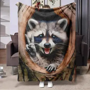 Cute Raccoon Pattern Blanket, 1 Count Soft Comfortable Warm Throw, Air-conditioned Room  Warm Nap Blanket for Home & Office & Travel.Thin Blanket Dream Workshop