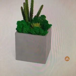 Succulent moss square bonsai cement planter