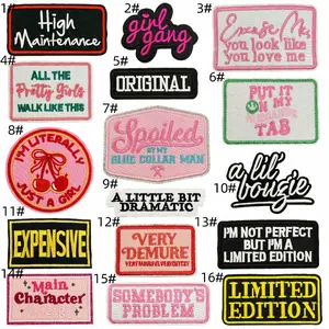 16PCS English Embroidered Patches Sew On Appliques for Jackets Hats Backpacks Clothing