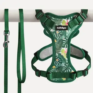Rabbitgoo Kaleido Adjustable cat harness and leash set