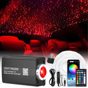 Starry Sky Ambience Kit – 1000pc 0.02in*6.56ft Fiber Optic LED Roof Lights for Cars & Homes, Festive & Cozy Decor