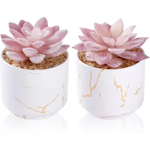 Artificial Plants and Succulents in 2 White Ceramic Pots,Small Fake Plants for Office and Desk Decor,Bathroom, Bedroom,Shelves for Women