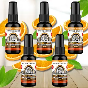Citrus Orange Spray Air Freshener Bundle (5 Pack)