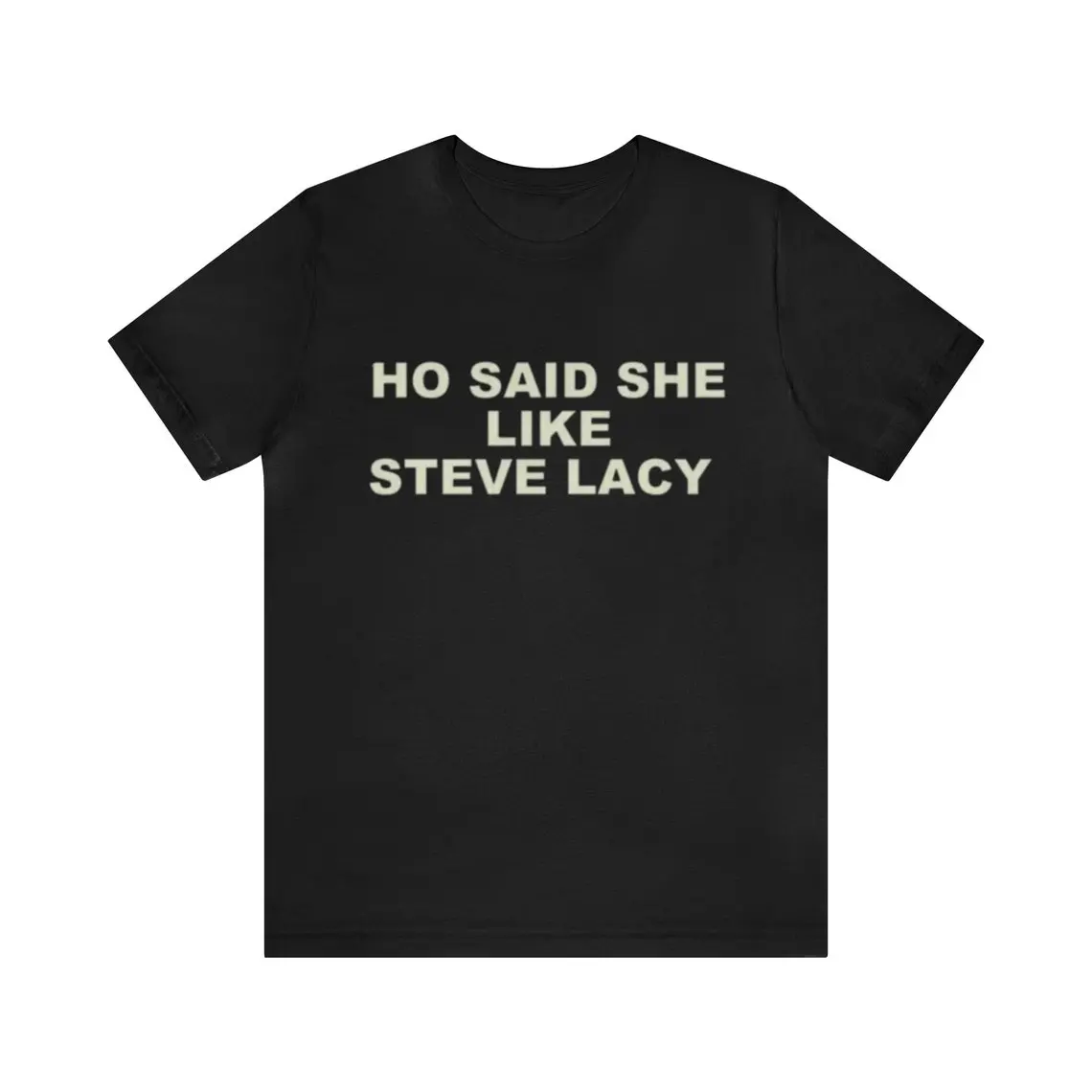 Ho Said She Like Steve Lacy Shirt - Funny T-Shirts, Gag Gifts, Dark Humor, Meme Shirts, Parody Gifts, Ironic Tees,  y2k and more