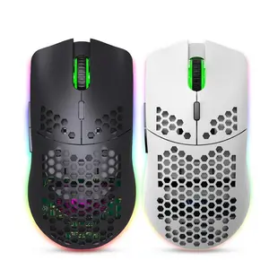 2.4G Built-in---Rechargeable Battery---HXSJ Wireless Mouse--- RGB Lighting Cellular Design---USB Plug