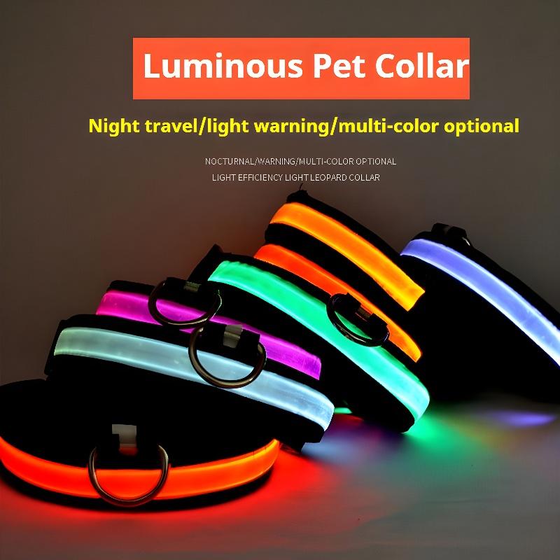 Collar (Glow) - Dog Collar Nylon LED Night Safety Flashing Glow In The Dark Pet Dog Leash pet Dogs Luminous Fluorescent  dog accessories collar night safety Rechargeable reflective cat