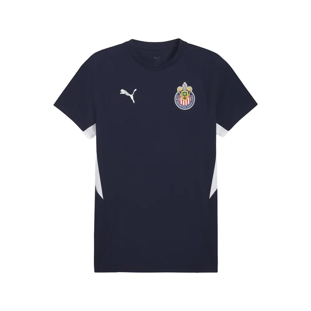 PUMA Mens Chivas Evostripe Crew Neck Short Sleeve Casual Tops Casual - Blue