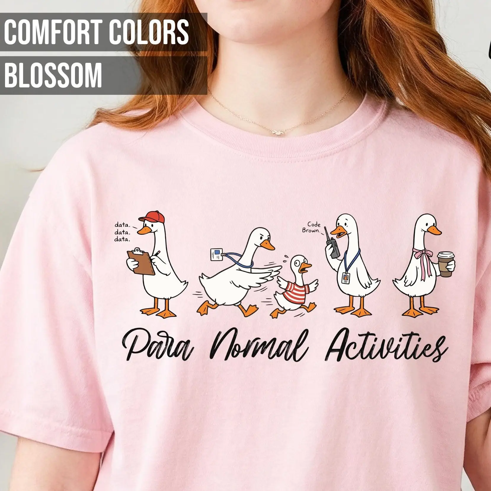 Paraprofessional Silly Goose Comfort Colors T-Shirt, Para Normal Activities, SpEd RBT Teacher Aide Gift