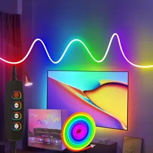 USB 5v Ic RGB Neon Light Strip, Smart APP Control LED Light Tape, Music Sync, Intelligent Color Changing DIY Mode, Bedroom Decor