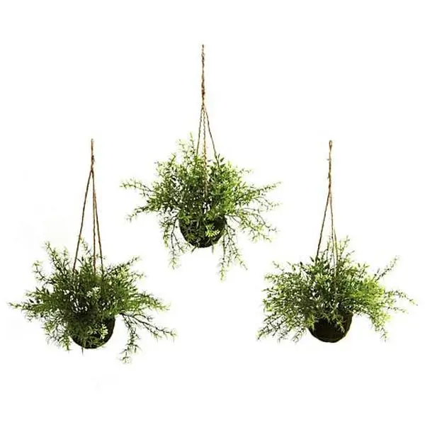 Nearly Natural Ruscus, Sedum and Springeri Hanging Basket Set of 3