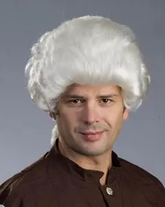 COLONIAL MAN Wig