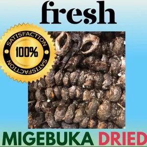 Migebuka dried