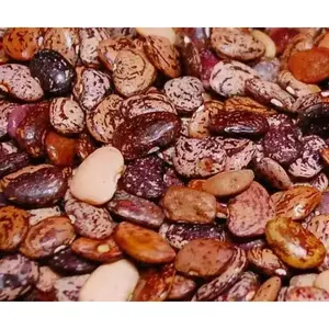 Lima Beans - Bush-Jackson Wonder, Dried Beans in Assorted Colors, Ideal for Cooking and Dried Meals