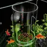 Aquarium Feeding Ring, Non-Slip Plastic Float Circle, Essential Fish Food Dispenser, Square/round Feeder for Aquarium Algae Supplies