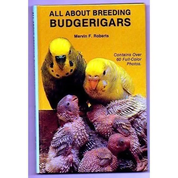 USED-All about breeding budgerigars by Mervin F Roberts (Paperback)
