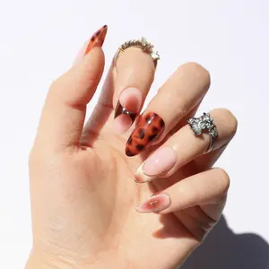 Turtle Pie Turtle Pie