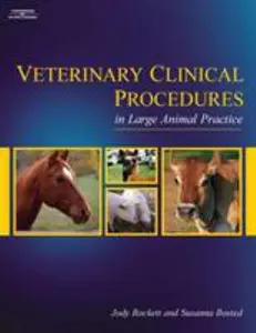 USED-Veterinary Clinical Procedures in Large Animal Practice (Veterinary Technology) by Jody Rockett (Hardcover)