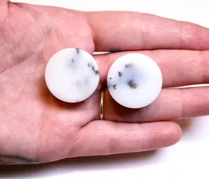 White Dendritic Agate Double Flare Plugs