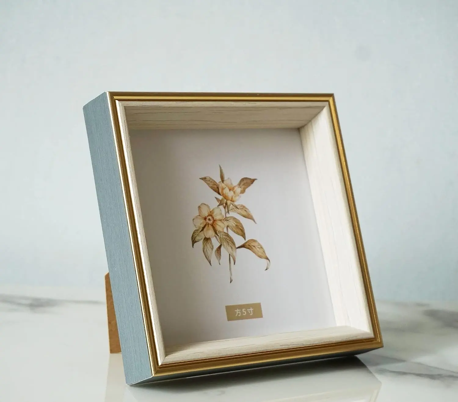 5X5 Blue Beige Square Picture Frame, 5X5 Resin Photo Frame, Wall and Desktop Display Picture Frame, Plexiglass PLUSCHEN