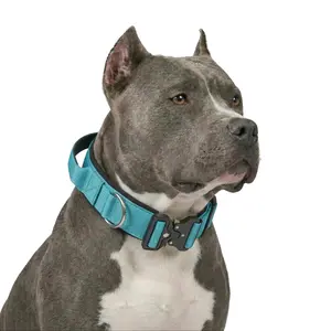 Blue Forest Green Pink Heavy Duty Polyester Dog Collar with Metal Buckle, Durable Padded Training Collar for Pitbull Medium Large Dogs, Adjustable Pet Walking Gear