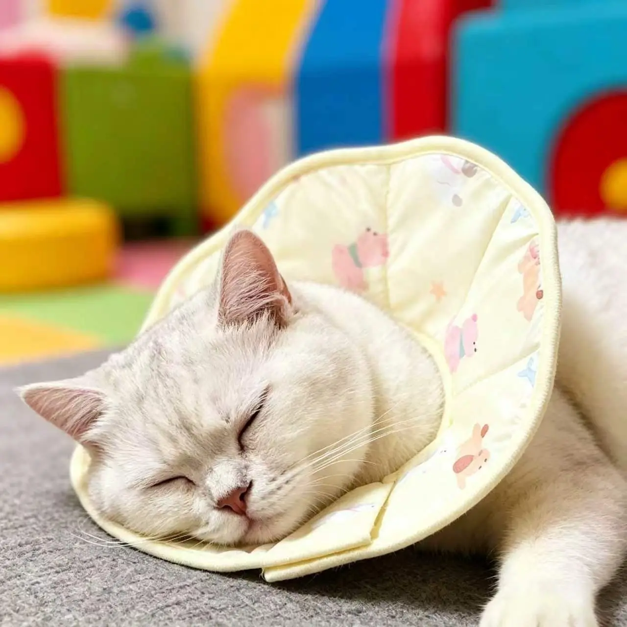 Adjustable Pet Collar for Cats and Dogs, Adjustable Fit, Cute Soft Elizabethan Collar, Anti-Chew and Tear-Resistant, Post-Surgery Licking Prevention, Durable Design