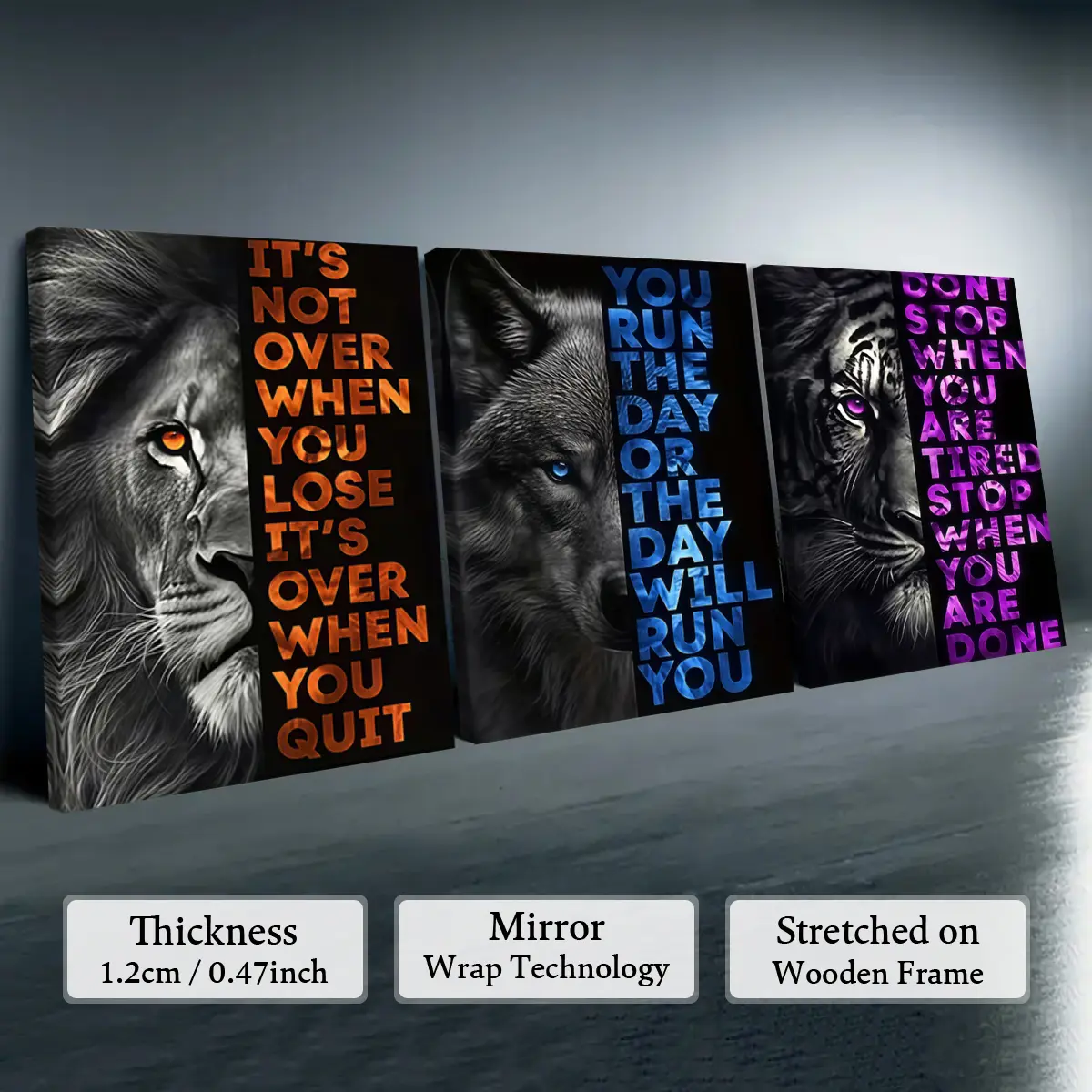 12X16inch(Framed)-E1