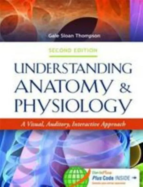 USED Book - Understanding Anatomy & Physiology 2e: A Visual, Auditory, Interactive Approach by Thompson, Gale Sloan (Paperback) - english