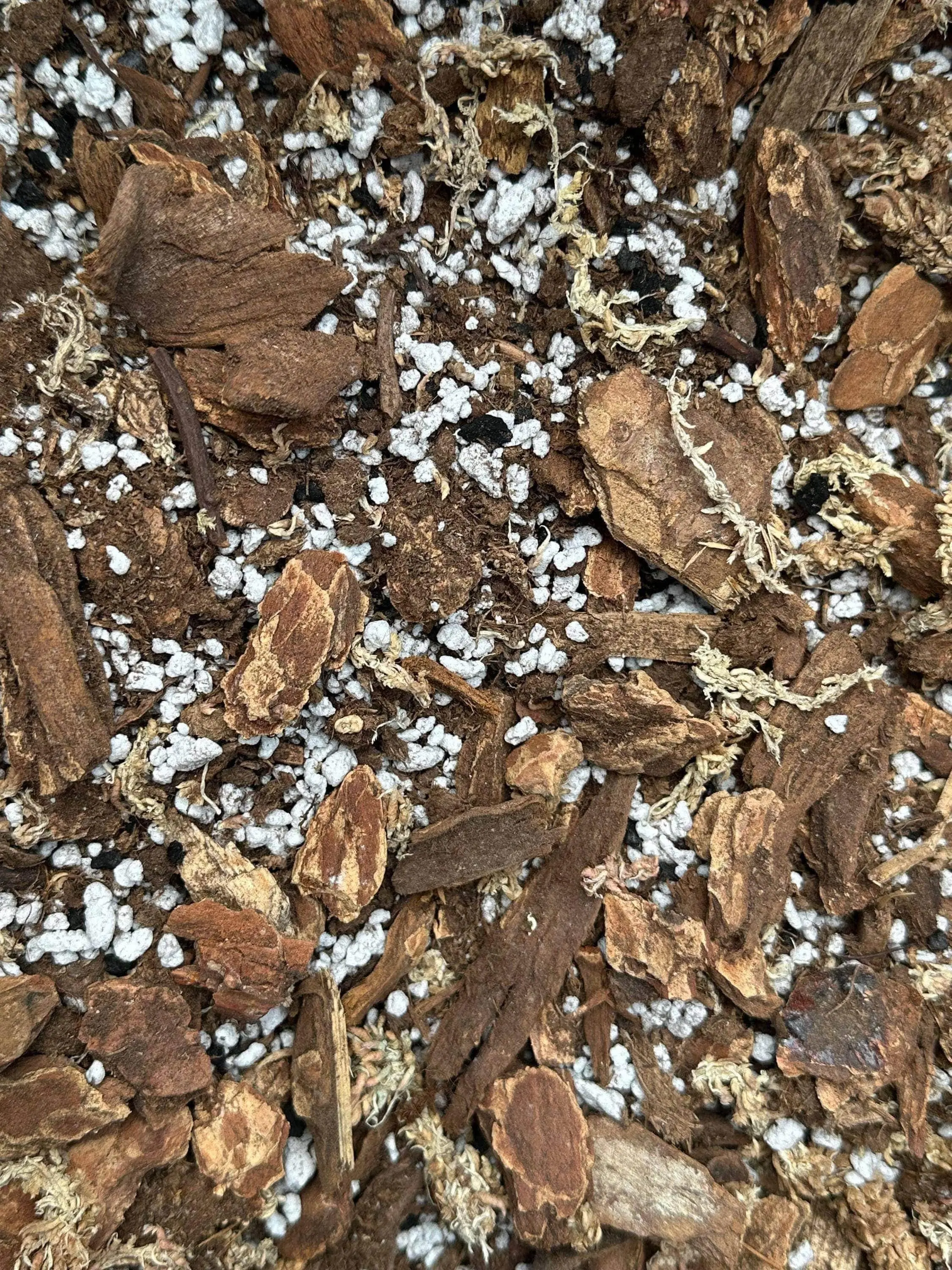 Aroid Soil Mix