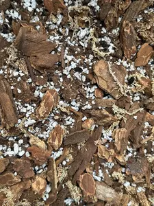 Aroid Soil Mix