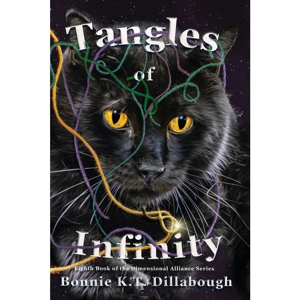 USED Book - Tangles of Infinity: Eighth Book in The Dimensional Alliance Series by Dillabough, Bonnie K. T. (Paperback) - english