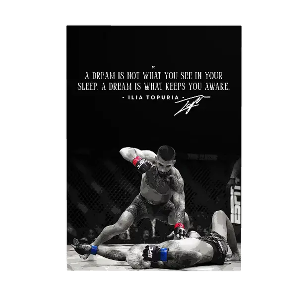 Ilia El Matador Topuria Poster, mma poster, sport wall art, gift for mma fan, fighter motivational print, bedroom wall decor