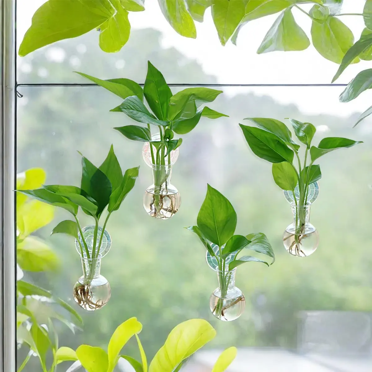 4-Piece Hook-Mounted Wall Hanging Plant Propagation Stations, 2.56in Wide Suction Cup Plastic Terrarium Flower Pots & Planters, No-Nail Window Mount Easy-Install Planters, Ideal Mother's Day Best Gift for Home Decor
